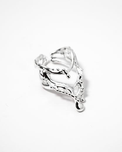 Frozen Chain Ring