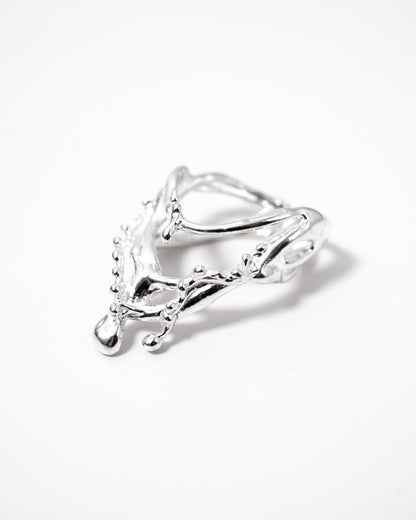 Frozen Chain Ring